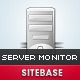 Server monitor