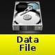 Data File
