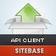 API Client