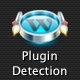 Plugin Detection for WordPress Themes