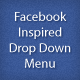 Facebook Inspired CSS Drop Down Menu