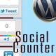 Wordpress Social Counter