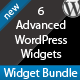 Advanced WordPress Widget Bundle