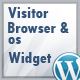 Visitor Browser and Operating System Widget