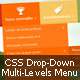 Responsive Multi-Levels/Drop-Down Icon Menu
