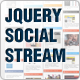 jQuery Social Stream