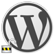 Wordpress Hide Option