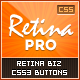 Retina Pro: CSS3 Retina Business Pro 2 Button Set