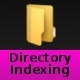 Advanced Directory Indexing