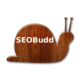 SEOBudd SEO keyword targeter WordPress plugin