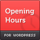 Opening Hours - Wordpress Business Hours Plugin