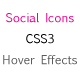 CSS3 Social Icons