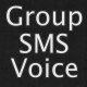 Group SMS Voice Application Twilio