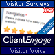 Visitor Voice - Effective Website Surveys