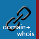 Bulk Domain Checker + Whois Lookup