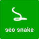 SEO Snake - Report Card Generator