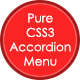 Pure CSS3 Accordion Menu