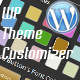 WP Theme Customizer