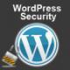 WP Reserve Access - Security Plugin