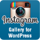 Instagram Photo & Video Gallery WordPress