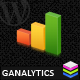 gAnalytics WordPress Plugin